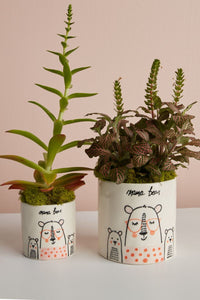 MAMA BEAR POT COLLECTION