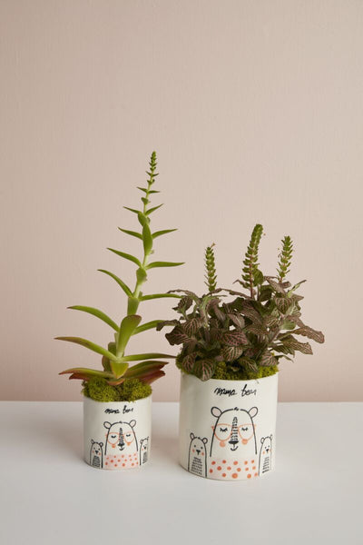 MAMA BEAR POT COLLECTION